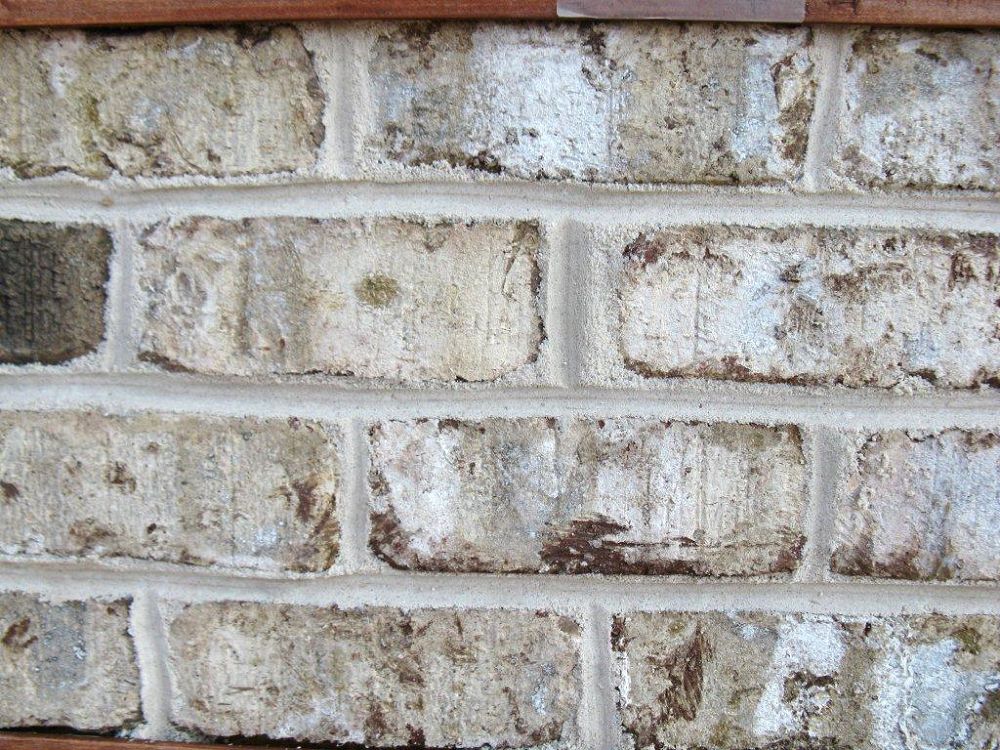 Bricks For Walls Orlando Fl Residential Brick Manufacturers Bedrock Orlando